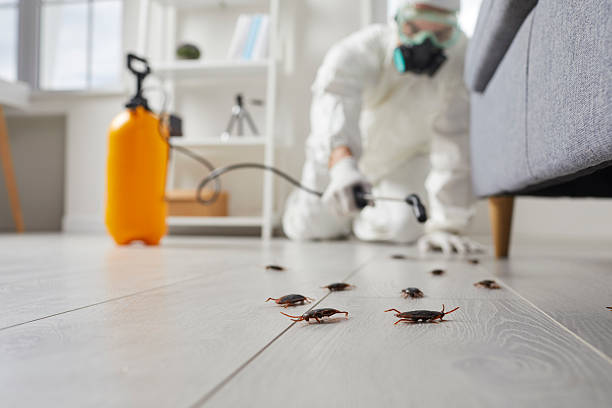 Commercial Kitchen Cockroach Control in Sinking Spring